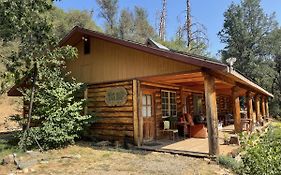 Bear Creek Cabins